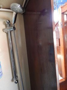 Lady Jazz Seamaster 8M (14)