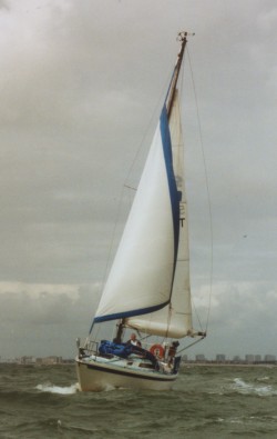 Seaholly250